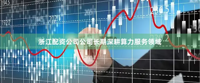 浙江配资公司公司长期深耕算力服务领域